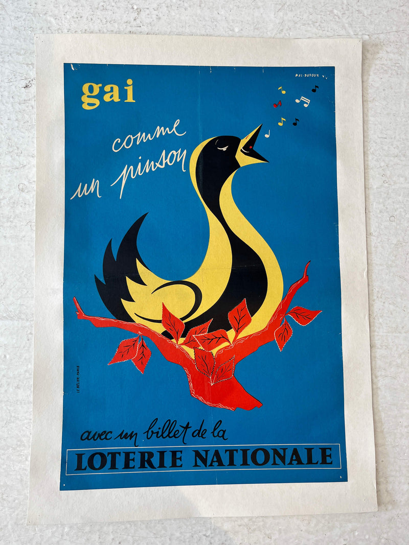 Loterie Nationale: Gay as a Finch by Max Dufour